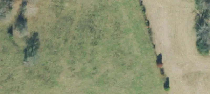 Farm Property with Pond