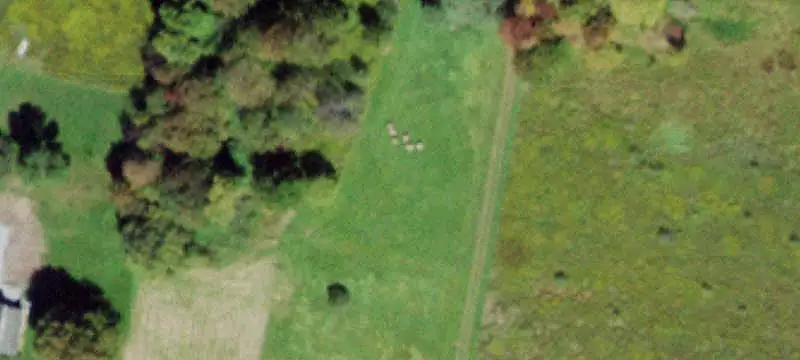 Land