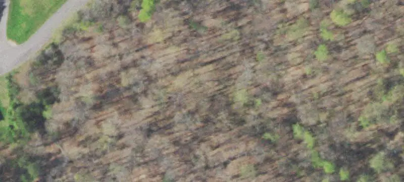 Land / Unimproved Land