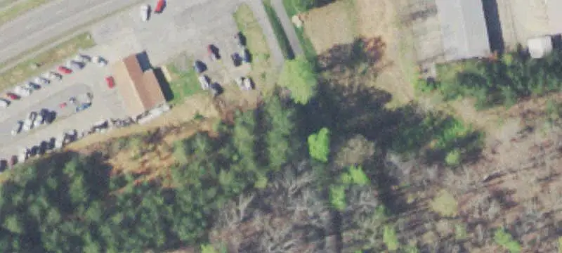Automotive Property with Acreage
