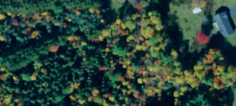 Wooded Adirondack Land