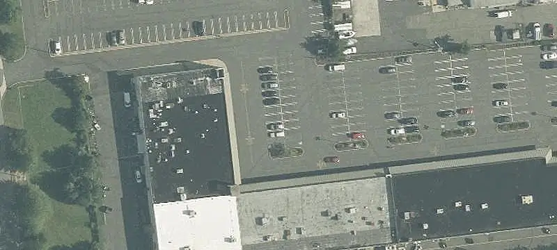 International Grocery Store