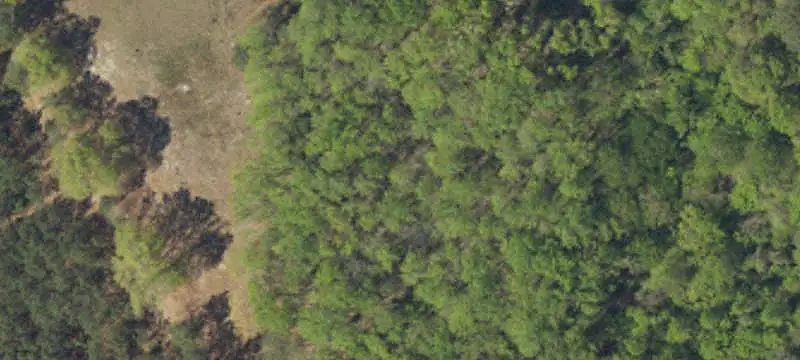 Flex Space with Acreage