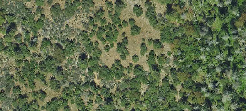 Forested Campground With Cabins