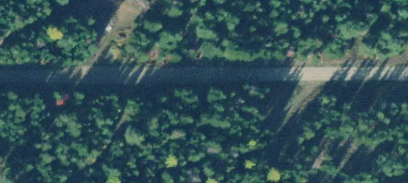 Forested Land Near Reservoir