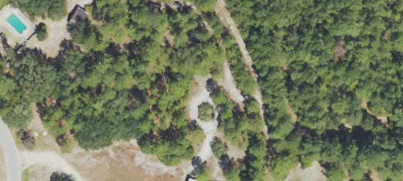 Partially Cleared Land