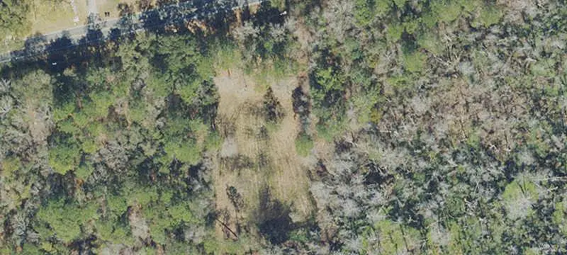 Partially Cleared Farmland
