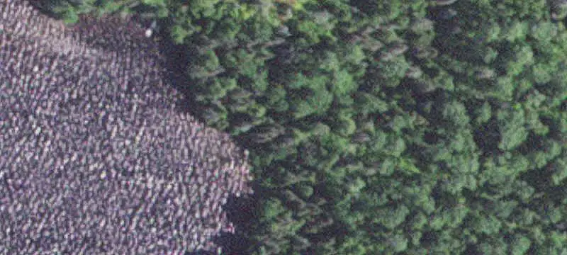 Land