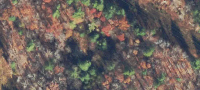 Land / Unimproved Lot