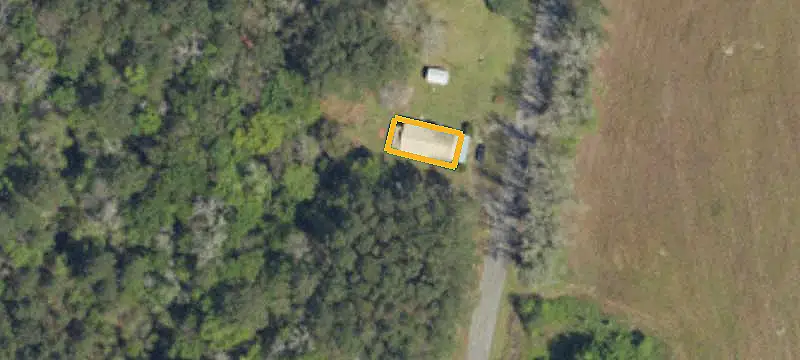 Managed Pine Farmland