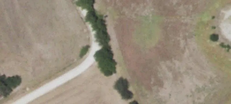 Grazing Farmland With Utilities