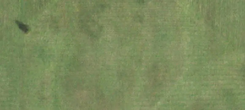 Unimproved Land