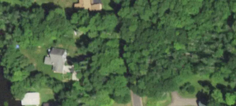 Wooded Hunting Land