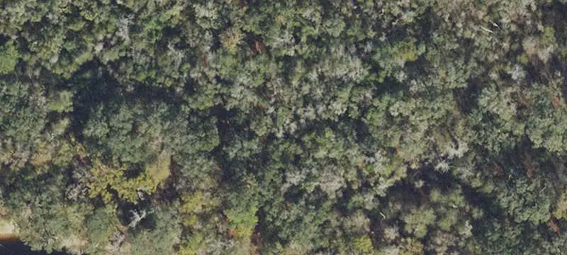 Suwannee River Waterfront Land