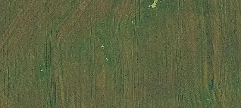 Farm with Ranch Home