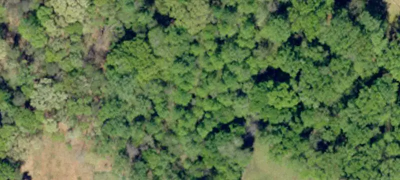Lots/Land