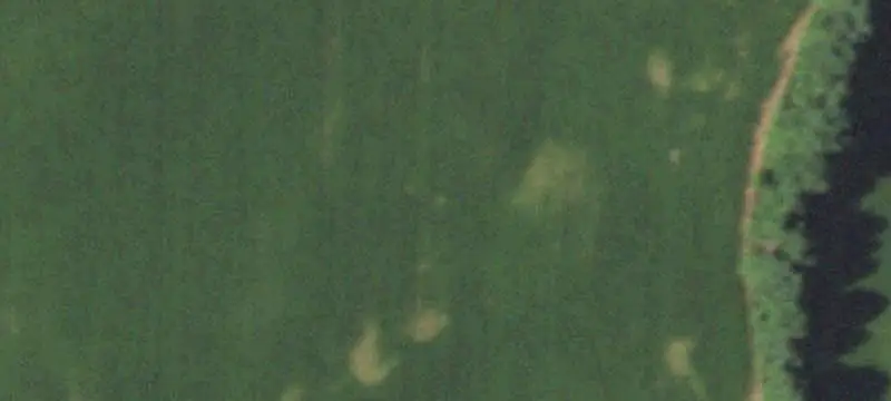 Partially Wooded Waterfront Land
