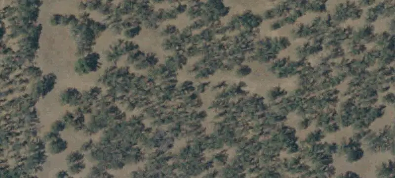 Lots/Land