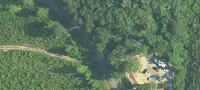 Pine Timberland Hunting Property