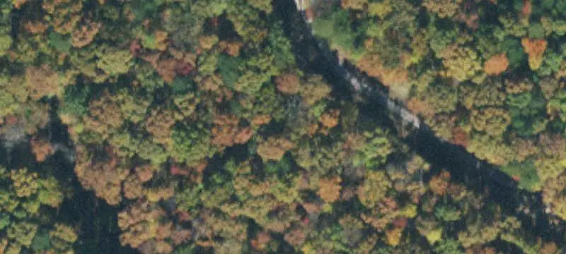 Wooded Land Tract