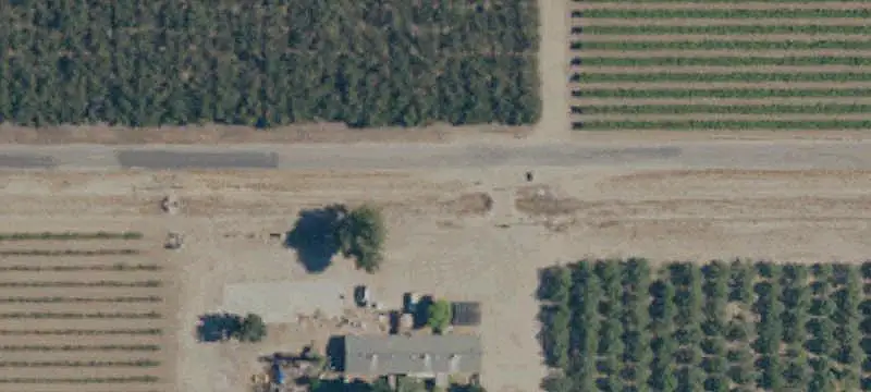 Organic Pistachio Farm
