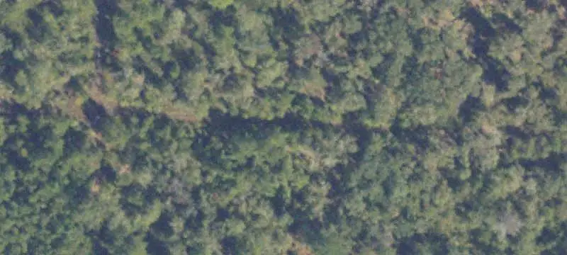 Recreational Land with Two Ponds