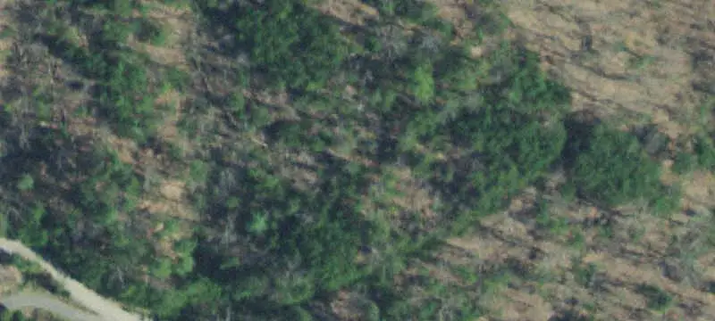 Unimproved Land