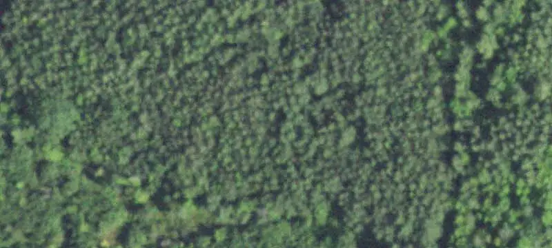 Wooded Waterfront Land