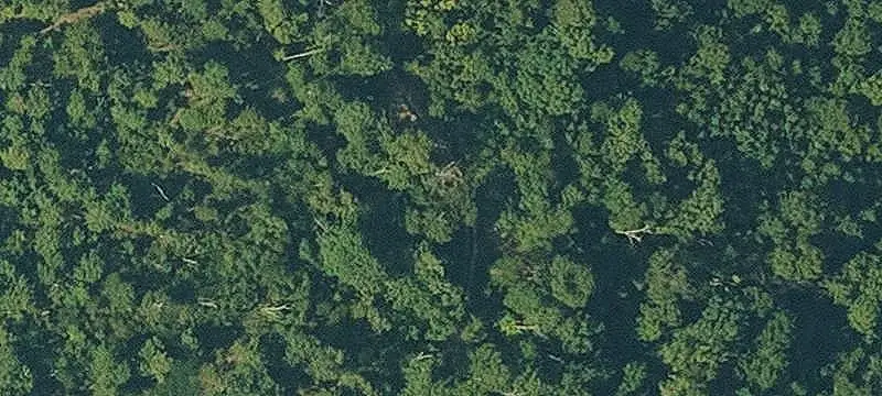 Wooded Recreational Land