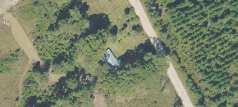 Hunting Land with Planted Pines