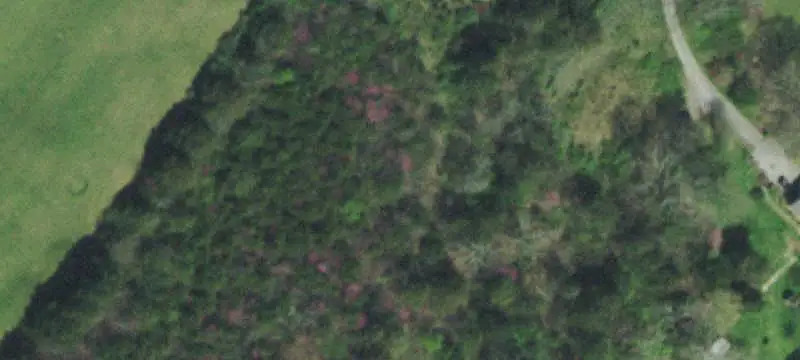 Commercial Land with Road Frontage