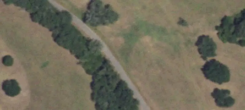 Agricultural Land with Mature Trees