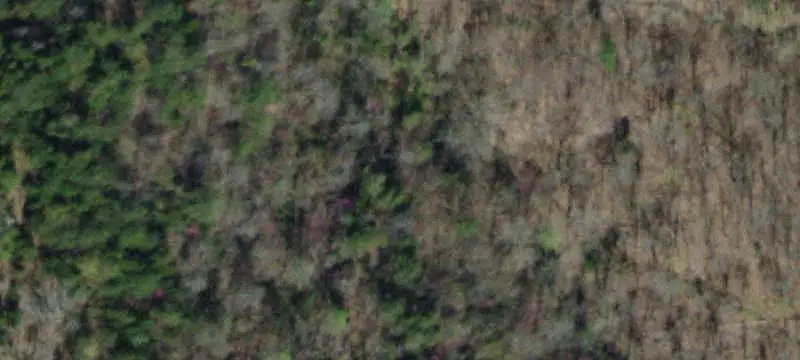Farmland with Natural Spring