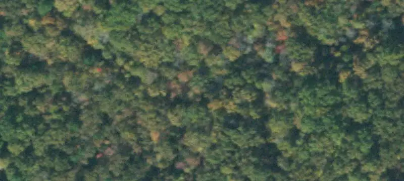 Lots/Land