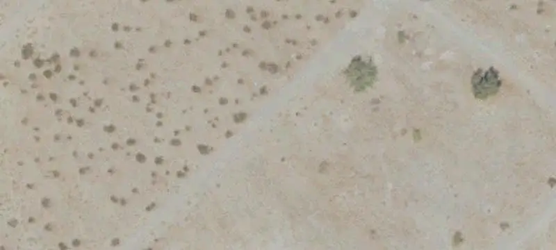 Lots/Land