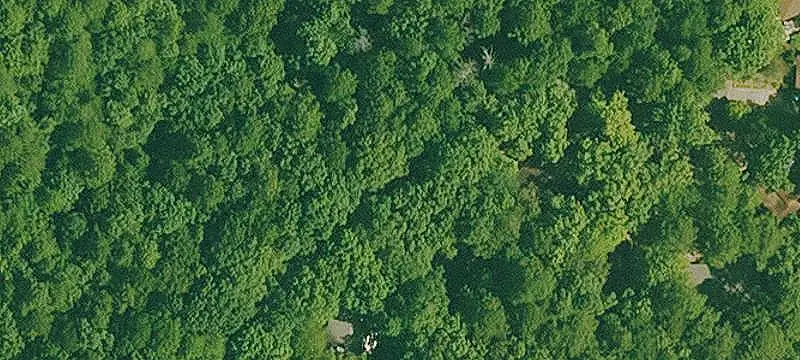 Hunting Land Parcel