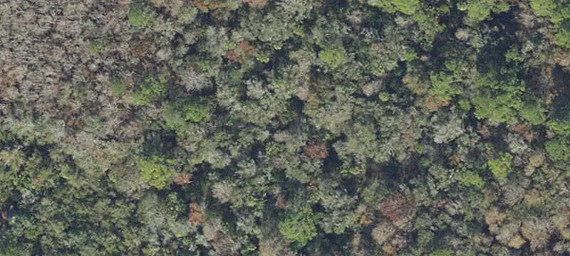 Private Hunting Land Parcels