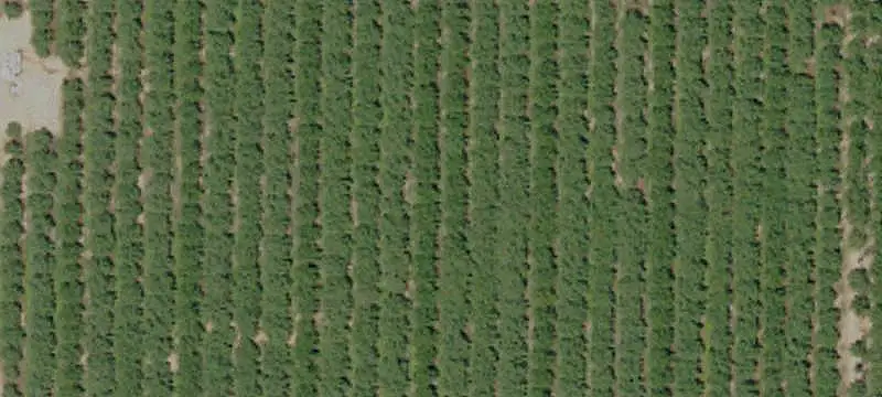 Irrigated Agricultural Land