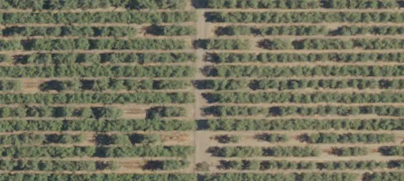 Diversified Farm with Solar System