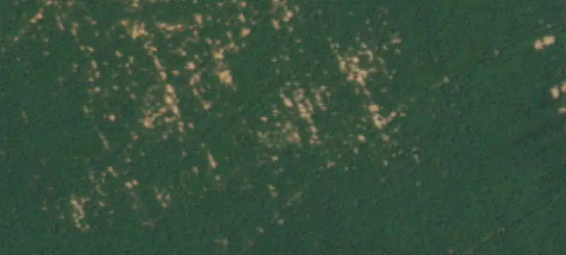 Waterfowl Farm with Cultivated Acreage
