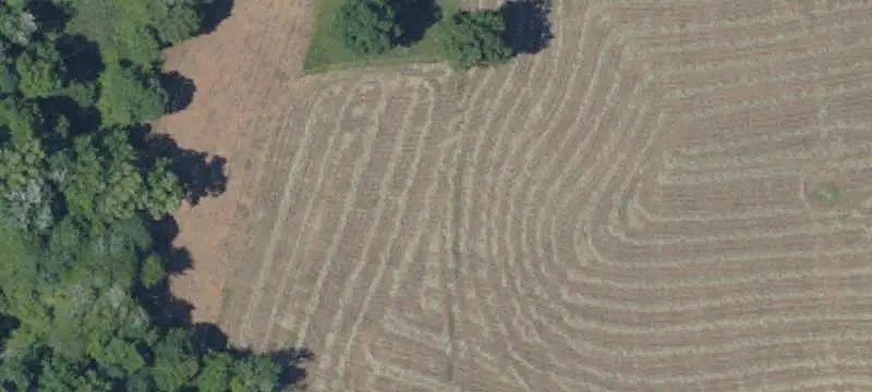 Farm-Acreage-Lot / Res Land (5 Acres or More)