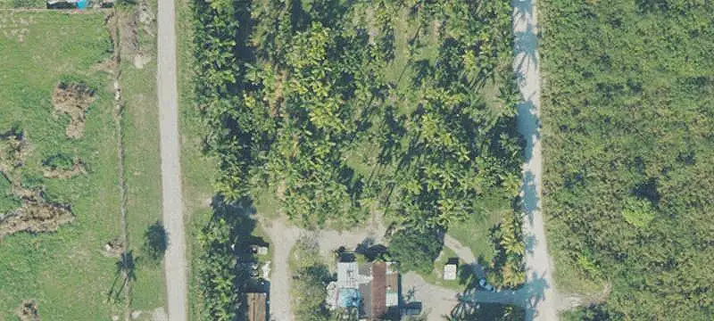 Agricultural Land