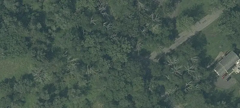 Lots And Land