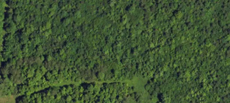 Agricultural Land With Tree Farm