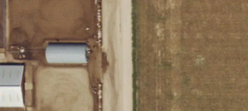 Dairy Farm Operation