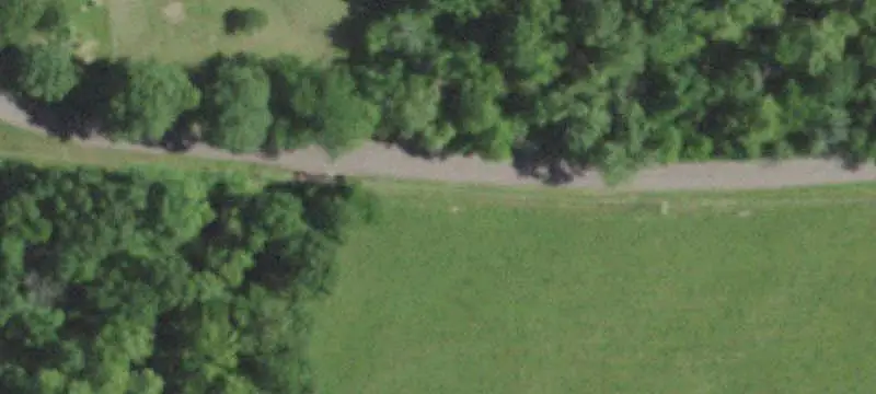 Timbered Hunting Land
