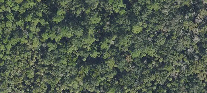 Commercial Land with Dual Access