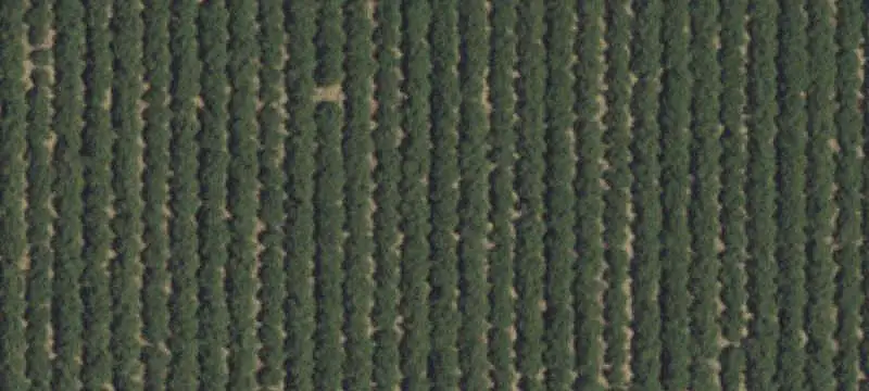 Mixed Nut Orchard Farm