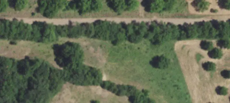 Wooded Agricultural Land Tract