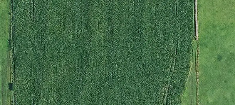 Native Grass Agricultural Land